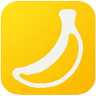 Nano Banana Lite